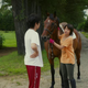 Illustration for article titled The Live-Action Silver Spoon Lacks Heart and Soul